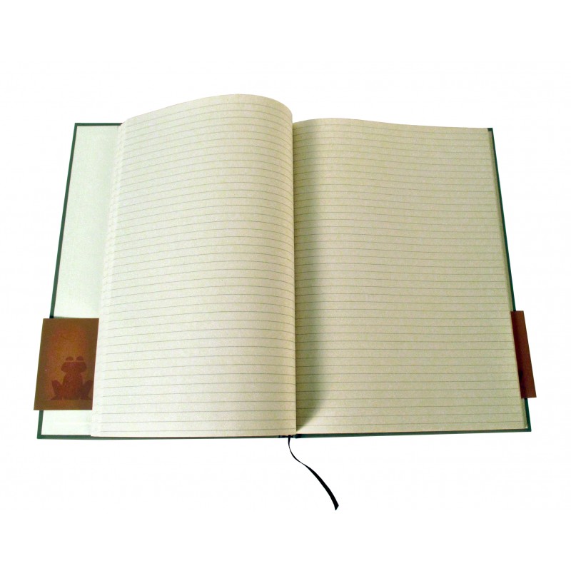 Cahier 500 pages: Grand Carnet, Bloc Note, Beau Cahier/carnet de Note  personnel, Agenda quotidien et Composition, Journal Ligné, Cahier pour tout  les